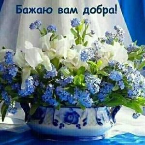 Meet your Posher, Liliya